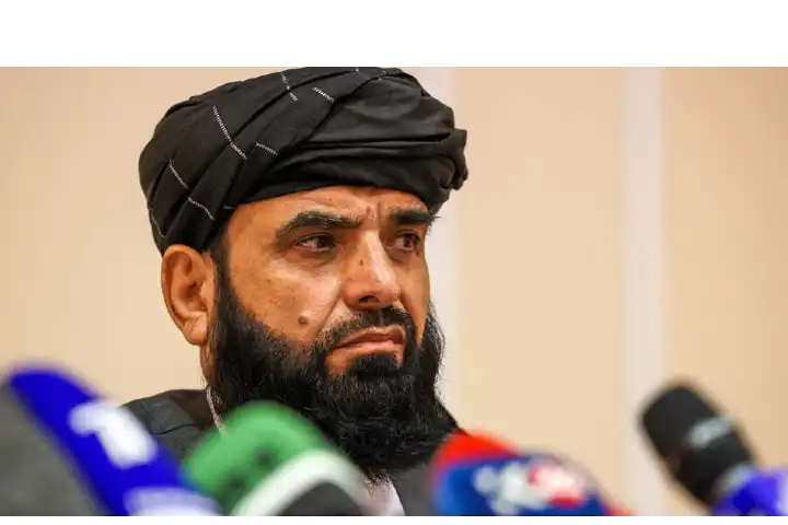 سہیل شاہین ، اقوام متحدہ میں طالبان کے سفیر نامزد، جنرل اسمبلی سے خطاب کی درخواست
