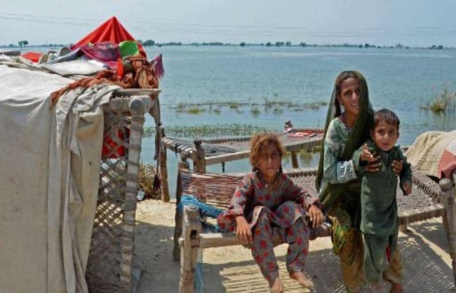پاکستان میں سیلاب کی تباہ کاریاں، بھوک سے بچی کی ہلاکت کے بعد احتجاج
