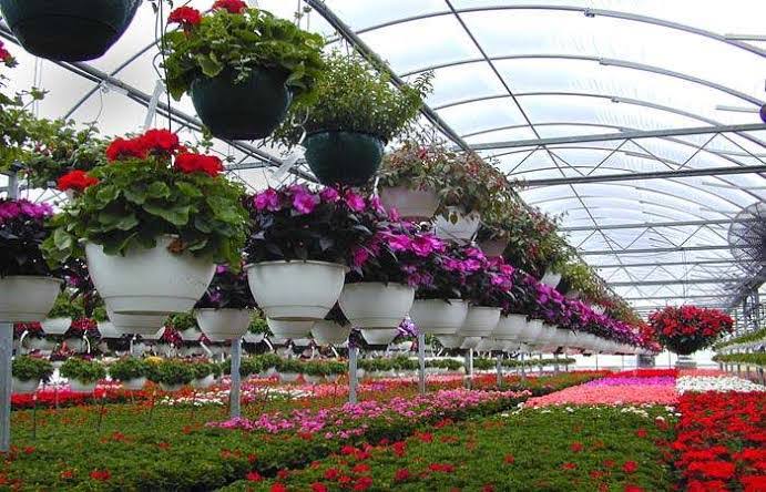 جموں و کشمیرحکومت نے تجارتی پھولوں کی کھیتی کو فروغ دینے کے لیےمیگا پروجیکٹ کو دی منظوری