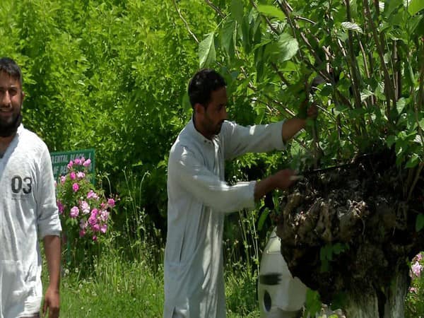 جموں و کشمیر حکومت نے ریشم کی زراعت کے احیا کے لیے 91کروڑ کے پروجیکٹ کوکیا  منظور