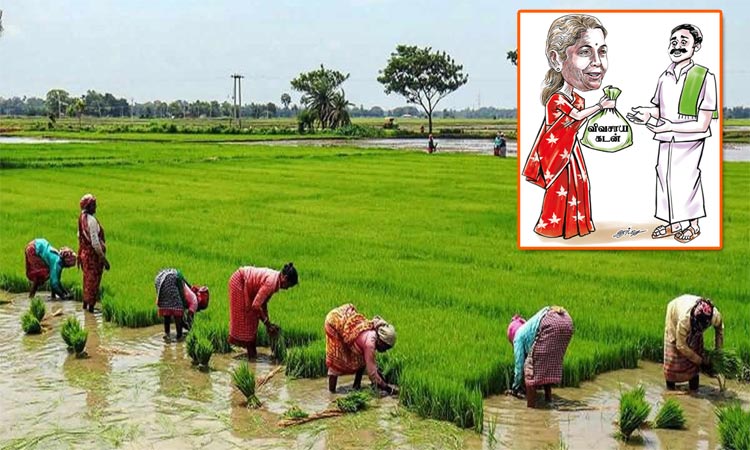 بجٹ 2023-24:کسانوں کو 20 لاکھ کروڑ روپے کا زرعی قرض فراہم کرے گی حکومت