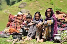 زمین کی الاٹمنٹ پالیسی سے جموں و کشمیر میں خانہ بدوش لوگوں میں خوشی کی لہر