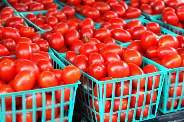 ادھم پور گاؤں کے کسان ٹماٹر کی قیمتیں تاریخی بلندی پر کیوں منا رہے ہیں خوشی؟