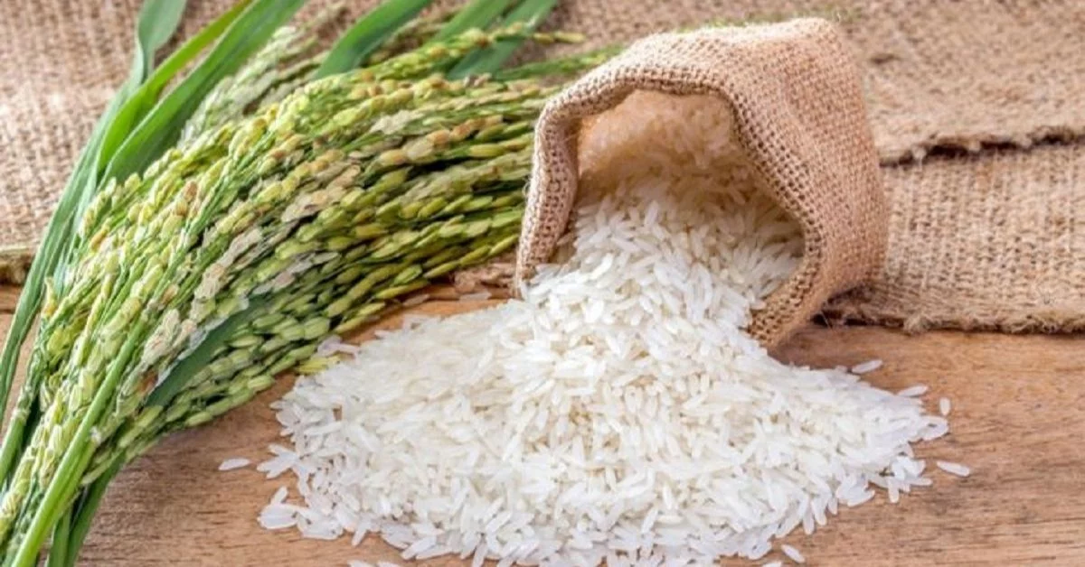 بھارت کے غیر باسمتی چاول کی برآمدات پر پابندی پر نیپال کو تشویش، سفارتی کوششیں تیز